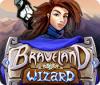 Jocul Braveland Wizard