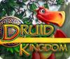Jocul Druid Kingdom
