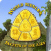 Jocul World Riddles: Secrets of the Ages