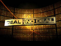 Downloadează gratuit screenshot pentru Deal or No Deal 1