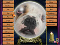 Downloadează gratuit screenshot pentru Lost Fortunes 2