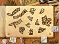 Downloadează gratuit screenshot pentru Paradise Quest 2