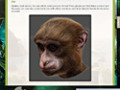 Downloadează gratuit screenshot pentru Return to Mysterious Island 2: Mina's Fate Strategy Guide 2