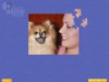 Downloadează gratuit screenshot pentru Super Jigsaw Puppies 1