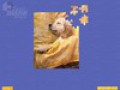 Downloadează gratuit screenshot pentru Super Jigsaw Puppies 2