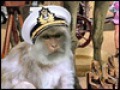 Downloadează gratuit screenshot pentru Treasure Masters, Inc. 3