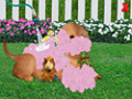 Downloadează gratuit screenshot pentru Wonder Pets Save the Puppy 2