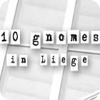 Jocul 10 Gnomes in Liege