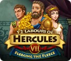 Jocul 12 Labours of Hercules VII: Fleecing the Fleece