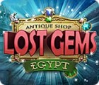 Jocul Antique Shop: Lost Gems Egypt
