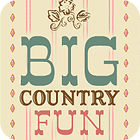 Jocul Big Country Fun
