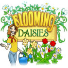 Jocul Blooming Daisies