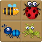 Jocul Bug Box