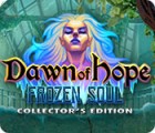 Jocul Dawn of Hope: The Frozen Soul Collector's Edition