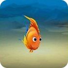 Jocul Fishdom 3 Collector's Edition