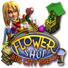 Jocul Flower Shop: Big City Break