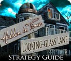 Jocul Hidden in Time: Looking-glass Lane Strategy Guide