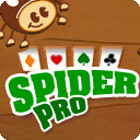 Jocul Spider Pro