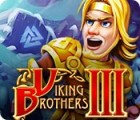 Jocul Viking Brothers 3