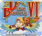 Jocul Viking Brothers VI Collector's Edition