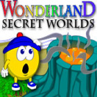 Jocul Wonderland Secret Worlds