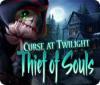 Jocul Curse at Twilight: Thief of Souls