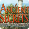 Jocul Ancient Secrets: Mystery of the Vanishing Bride
