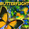 Jocul Butterflight