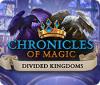 Chronicles of Magic: The Divided Kingdoms game