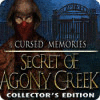 Jocul Cursed Memories: The Secret of Agony Creek Collector's Edition