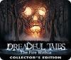 Jocul Dreadful Tales: The Fire Within Collector's Edition
