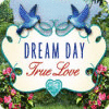Jocul Dream Day True Love