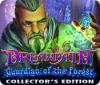 Jocul Dreampath: Guardian of the Forest Collector's Edition