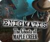 Jocul Enigmatis: The Ghosts of Maple Creek