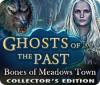 Jocul Ghosts of the Past: Bones of Meadows Town Collector's Edition