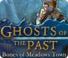 Jocul Ghosts of the Past: Bones of Meadows Town