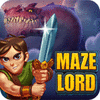 Jocul Maze Lord