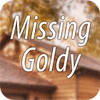 Jocul Missing Goldy