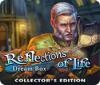 Jocul Reflections of Life: Dream Box Collector's Edition