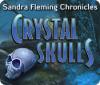 Jocul Sandra Fleming Chronicles: The Crystal Skulls