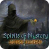 Jocul Spirits of Mystery: Amber Maiden Collector's Edition