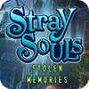 Jocul Stray Souls: Stolen Memories