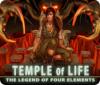 Jocul Temple of Life: The Legend of Four Elements