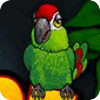 Jocul Thirsty Parrot