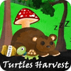 Jocul Turtles Harvest