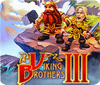 Jocul Viking Brothers 3 Collector's Edition