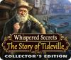Jocul Whispered Secrets: The Story of Tideville Collector's Edition