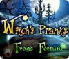 Jocul Witch's Pranks: Frog's Fortune